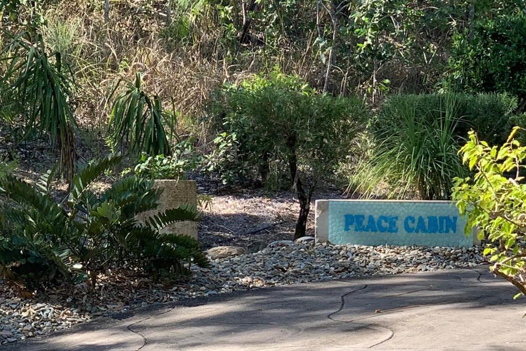 Beachfront Peace Cabin Oak Beach 외부 사진